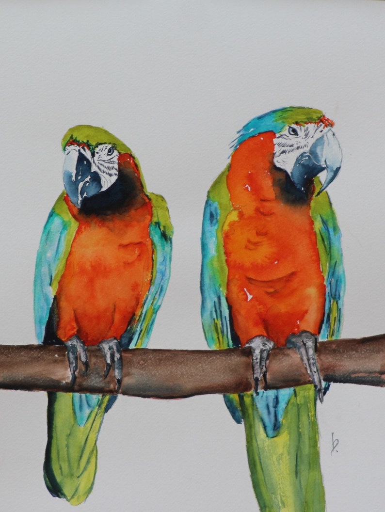 Macaw Parrot art, Macaw Painting, Blue yellow Macaw, shops Parrot wall art, Parrot watercolor, Macaw watercolor