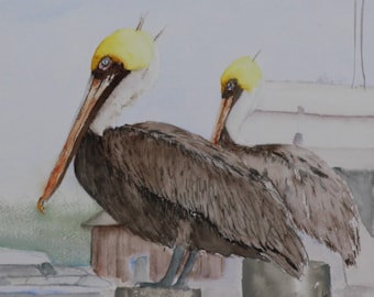 Pelican painting, original watercolor from Cortez FL, Starfish Grill, Anna Maria Island, by Betty Moore