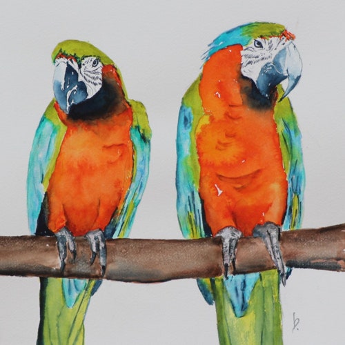 Macaw Parrot art, Macaw Painting, Blue yellow Macaw, shops Parrot wall art, Parrot watercolor, Macaw watercolor