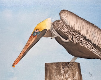 Pelican painting, coastal bird art, original watercolor