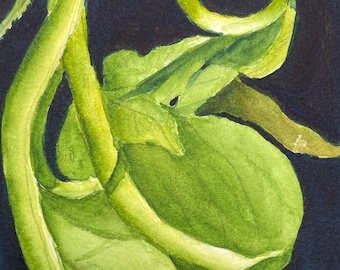 kitchen art, vegetable painting, original watercolor, small kitchen art