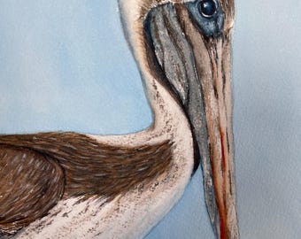 Pelican painting, coastal bird art, original watercolor