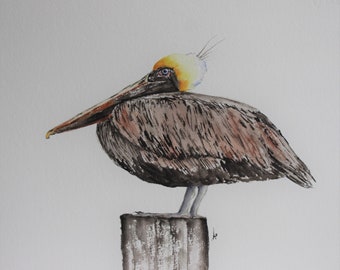 Pelican painting, Pelican art, Cortez FL, Starfish Grill, Anna Maria Island, original watercolor, by Betty Moore