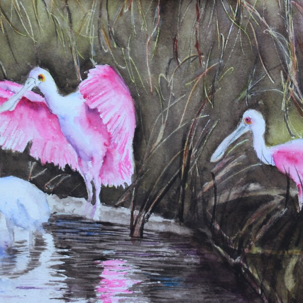 Roseate Spoonbill - Etsy