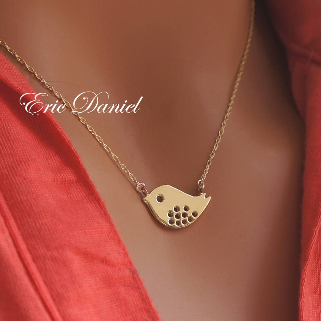 Collar De P Jaro Ingl S Bill Skinner Cole Tit main image 0