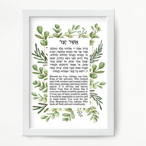 Asher Yatzar Jewish Prayer Health Healing Wall Print Blessing Hebrew and English Leaves Design