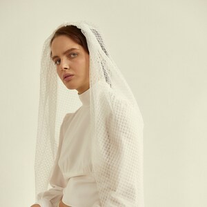 Long lace wedding veil with delicate geometric pattern image 2