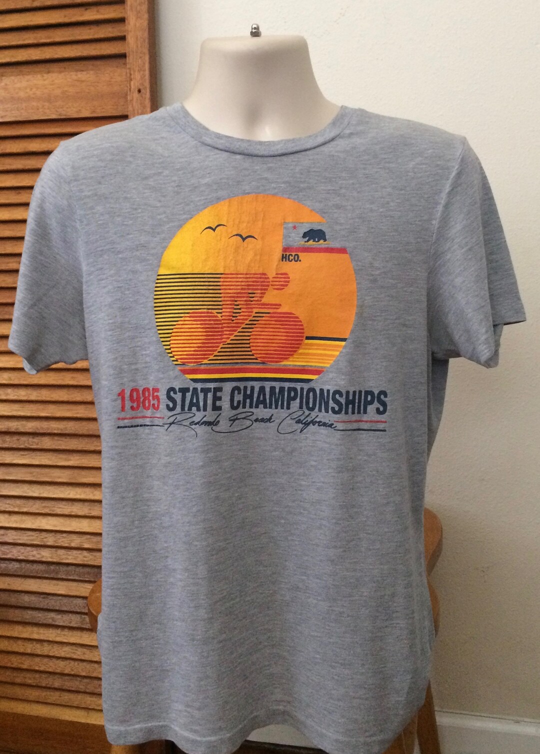 Vintage Hollister 1985 Cycling State Champions Gray T Shirt - Etsy