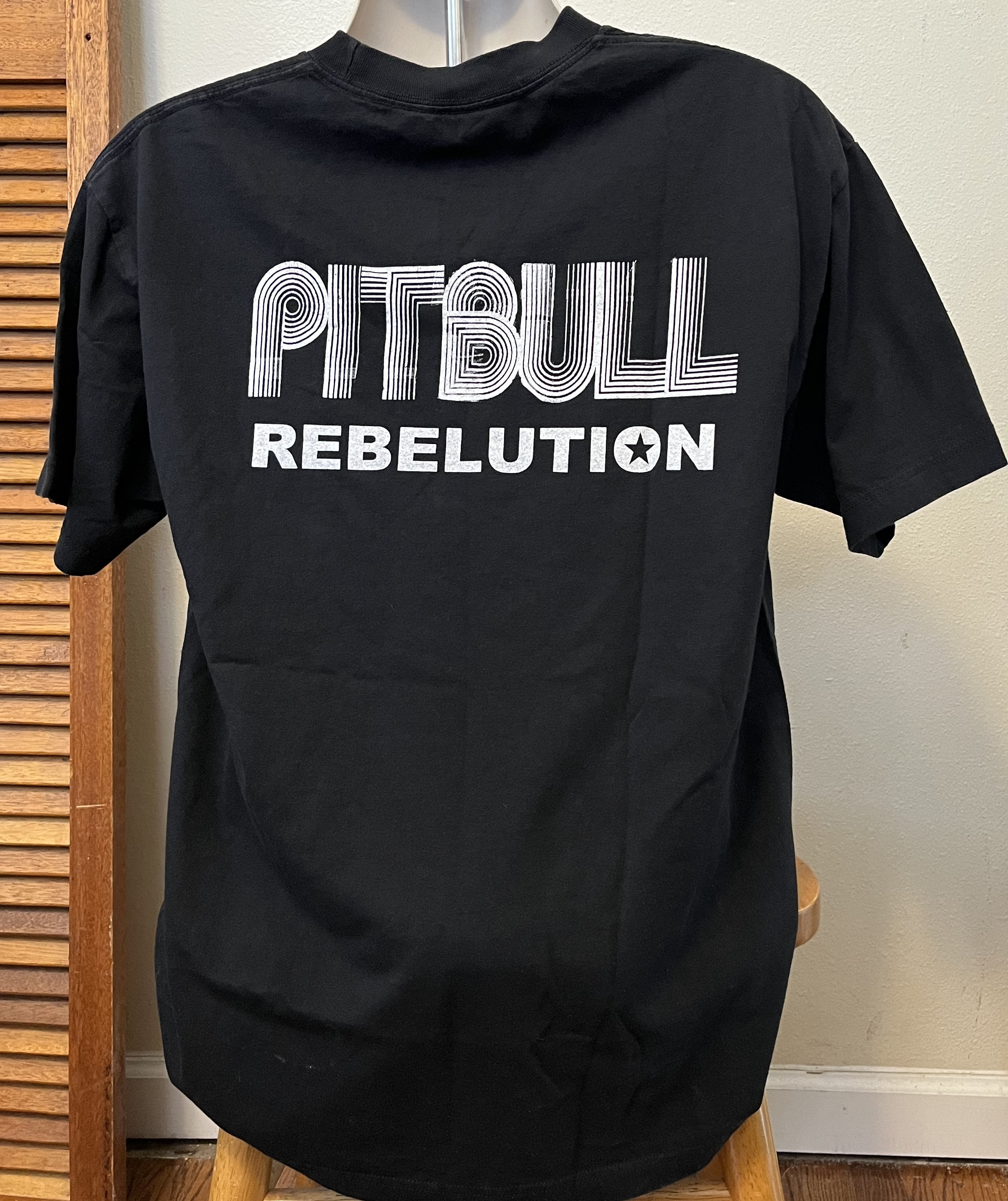 【セット】Pitbull - Rebelution & EL MARIEL2LP Pitbull – Rebelution – CD (Album), 2010 [r5114437] | Discogs