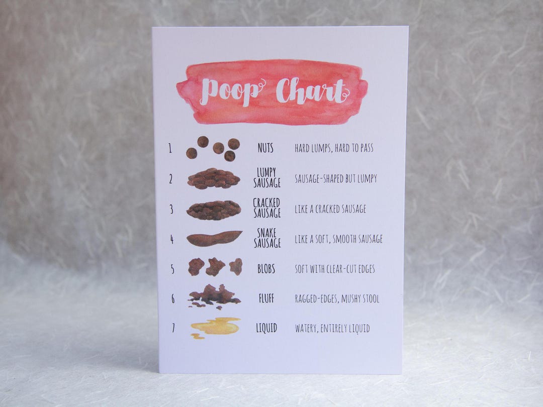 Poop Chart, 4 in X 5.75 in (10.3 Cm X 14.6 Cm) Humor Greeting Card - Etsy