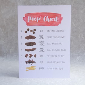 May include: A white card with a pink watercolor background and the text "Poop Chart" in black. The card has a chart with seven different types of poop, each with a description. The descriptions include terms like "nuts", "lumpy sausage", "cracked sausage", "snake sausage", "blobs", "fluff", and "liquid".