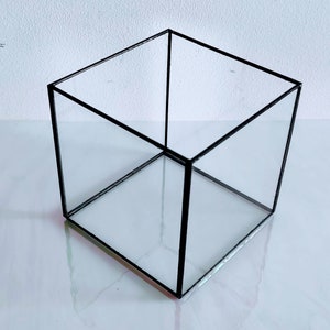 May include: A clear glass cube terrarium with a black metal frame. The terrarium is empty and sits on a white surface.