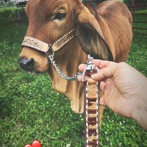 Custom tooled leather cattle halter