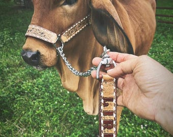 Custom tooled leather cattle halter