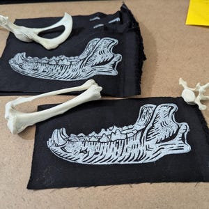 May include: Two black fabric patches featuring white jawbone designs, alongside various animal bones. The bones comprise a pelvis, a long bone, and a vertebra. The patches are rectangular with frayed edges, and the bones are off-white.