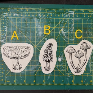 Puede incluir: Tres parches de tela con diseños de setas negras. Los parches tienen la forma de las ilustraciones de setas. Las setas son una amanita muscaria, una colmenilla y un grupo de setas.