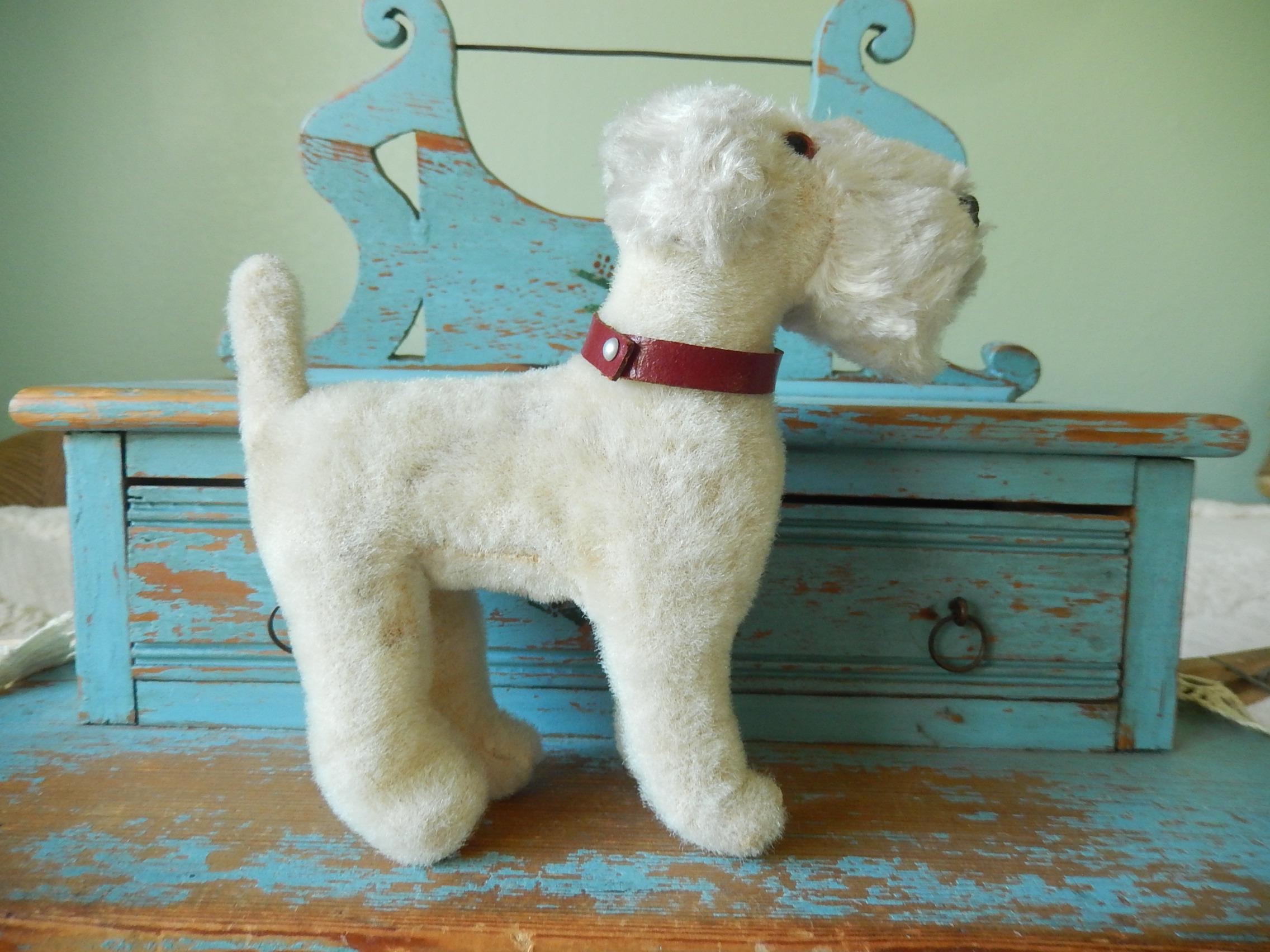 Airedale Terrier: Tout savoir sur cette race