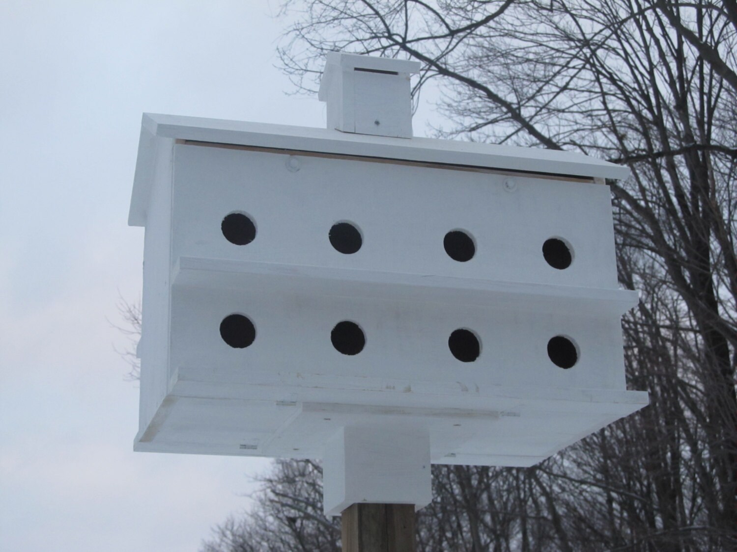 Purple Martin Birdhouse Etsy
