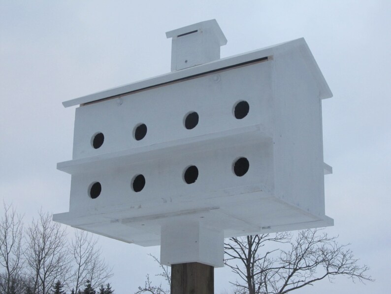 Purple Martin Birdhouse Etsy