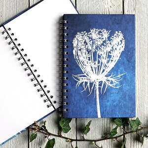 Tête de graine de dentelle Queen Annes - carnet, journal, carnet de croquis. Remplisseur de bas, carnet botanique, journal cartonné, reliure spirale