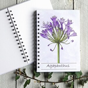Agapanthe - Cahier, Journal, Carnet de croquis. Remplisseur de bas, carnet botanique, journal cartonné, reliure spirale