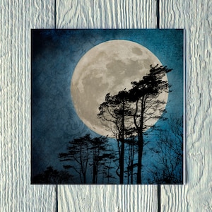 Moonlit Trees on Skye, Greetings Card