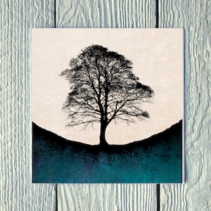 Automne à Sycamore Gap - Bleu, carte de voeux