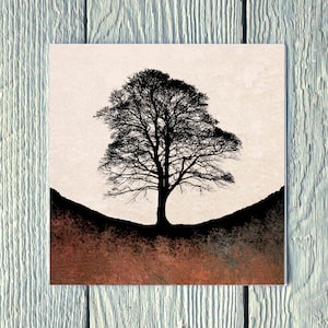 Automne à Sycamore Gap - Rouille, carte de voeux