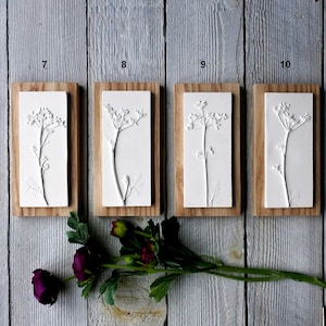 Könnte beinhalten: Vier weiße Wandplaketten aus Gips mit Holzrahmen, jede mit einem Relief einer zarten weißen Blume mit Stiel und Blättern. Die Plaketten sind von 7 bis 10 nummeriert.
