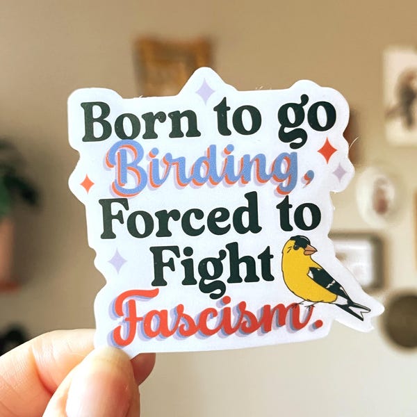 Pegatina de vinilo impermeable «Forzado a luchar contra el fascismo» / Regalo para observadores de aves