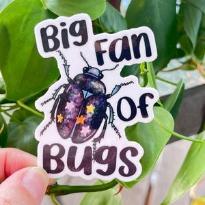 Big Fan of Bugs waterproof space filler sticker | critter sticker, nature sticker, bug sticker, naturalist, nature lover, entomologist