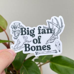 May include: A white sticker with the text "Big fan of Bones" and illustrations of various animal bones. The sticker is held in front of a green leafy plant.