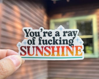 You're a Ray of Sunshine Waterproof Vinyl Sticker | Anti-Fascist
