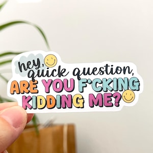 May include: A sticker with a colorful design that says "hey, quick question, are you f*cking kidding me?" with smiley faces on either side.