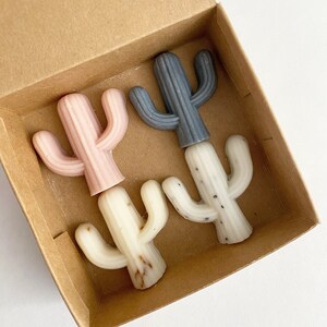 Pode incluir: Quatro pequenos sabonetes em forma de cacto em uma caixa de papelão marrom. Os sabonetes são nas cores rosa, branco e cinza.