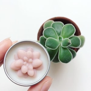 Terrarium Lip Balm - Vegan. With Shea Butter, Olive Oil, Castor Oil, Carnauba Wax, Red Clay