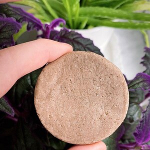 Classic & Gentle - Gentle, sebum-regulating solid shampoo. Vegan and eco-friendly. With lavender, shikakai, white clay, and jojoba oil.