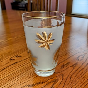 Mid Century Highball Glass Libbey Golden Foliage Leaf Foil Frosted