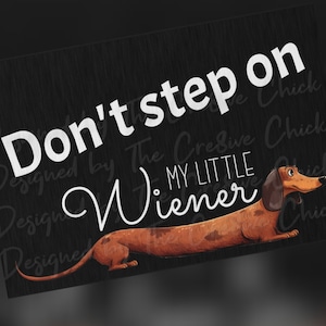 Funny Dachshund Door Mat DOG Welcome mat LARGE Custom Outdoor Rug 24X36 Best Dog Lover Gift Don&#39;t step on my little WIENER Dog