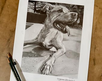 Pet Portrait Drawing in Graphite Pencil