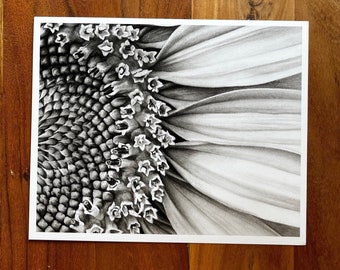 Sunflower Art Print “Look for the Sunshine” fine art giclee print of a sunflower graphite drawing • 4x5 inches • 8x10 inches • 11x14 inches