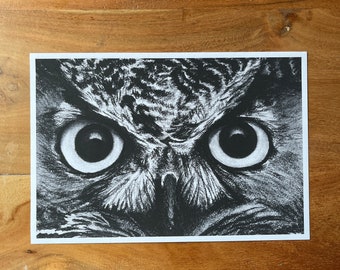 Owl Charcoal Drawing fine art giclee print of my original drawing 12x8 detailed owl eyes fine art print owl drawing owl artwork