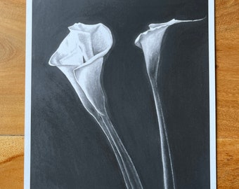 Fine art giclee print of my original black and white charcoal pencil drawing of Calla Lilies FAGP01