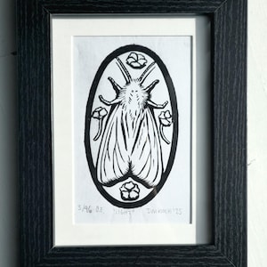 Light | moth linocut print | white moth | moth art | witchy art | cute moth | bug linocut | lino | cute bugs | dark art | witchy moth