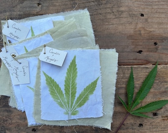 Cannabis Leaf Canvas Patch - Natural Dyed with Marigolds Reclaimed Fabric and Hapazome Print, Fabric Swatches for Slow Stitching, Collage