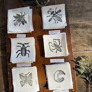May include: Six fabric squares with black and green insect and animal illustrations. Each square has a handwritten label with the name of the insect or animal. The labels read: Firefly, Mud Wasp, Darkling Beetle, Pine Sawyer Beetle, American Copper Moth, Banded Woolly Bear.
