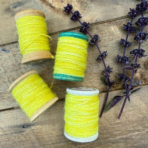 May include: Four wooden spools wrapped in bright yellow yarn. One spool features teal painted ends, while another has white painted ends. The spools are arranged alongside two sprigs of dark purple dried flowers with small, clustered blossoms.
