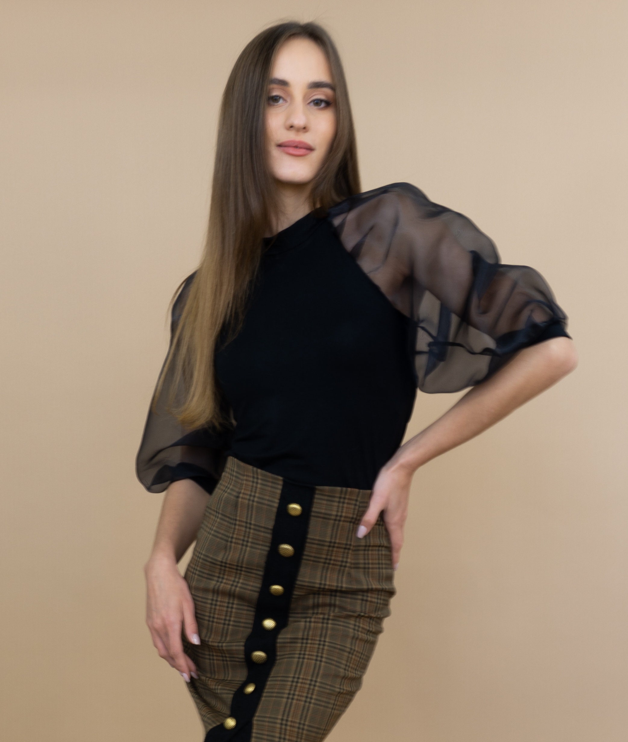 Top - Puff Sleeve Detail | High Neck Sheer Sleeve Top | Chic Top