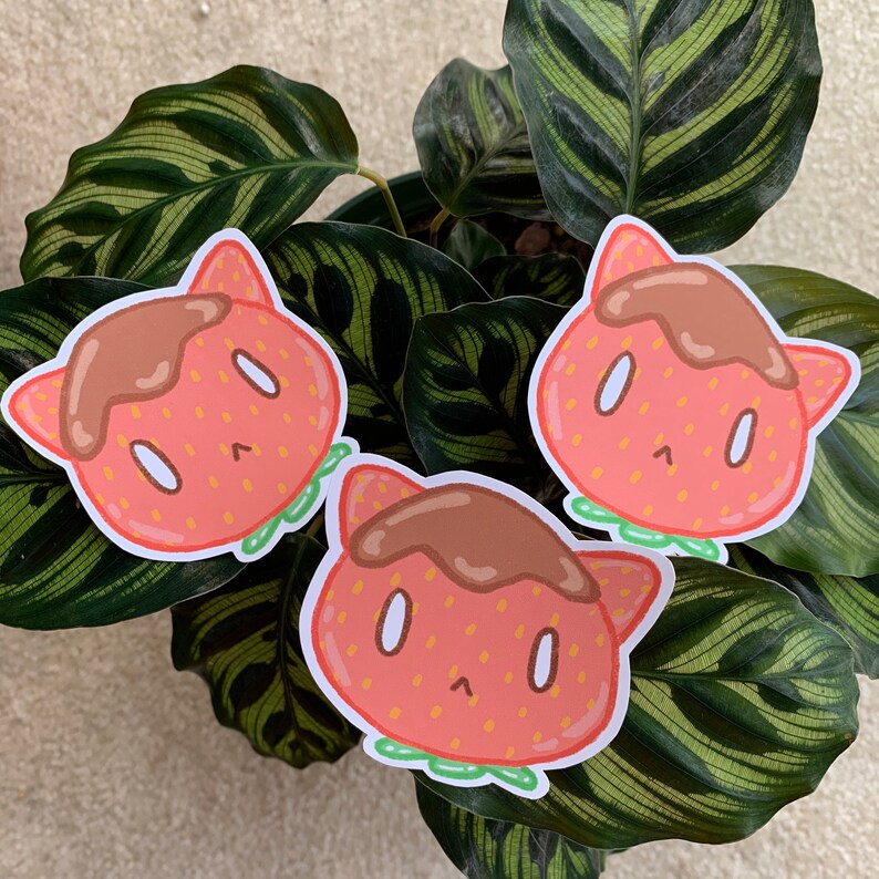 Chocoberry Cat Sticker - Etsy