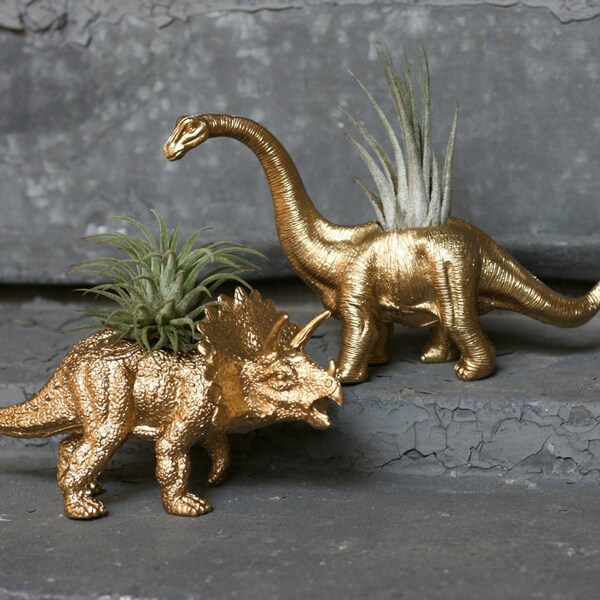 Dinosaur Planter 2x TILLANDSIA-SAURUS Triceratops + Brontosaurus GOLD